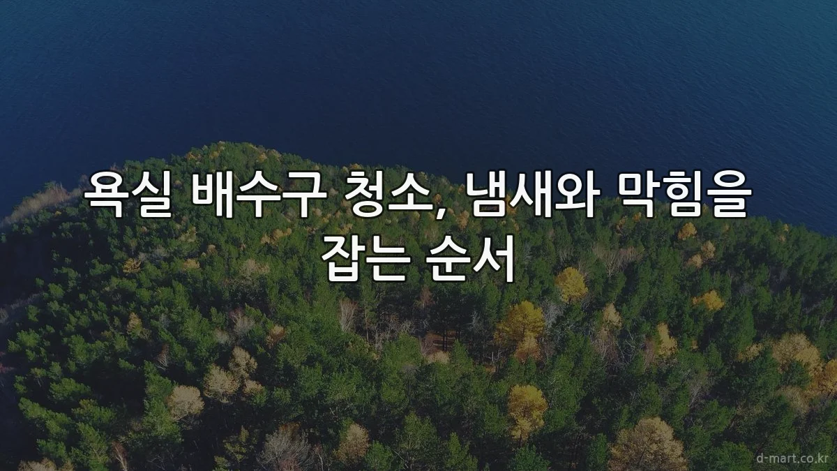 욕실 배수구 청소, 냄새와 막힘을 잡는 순서