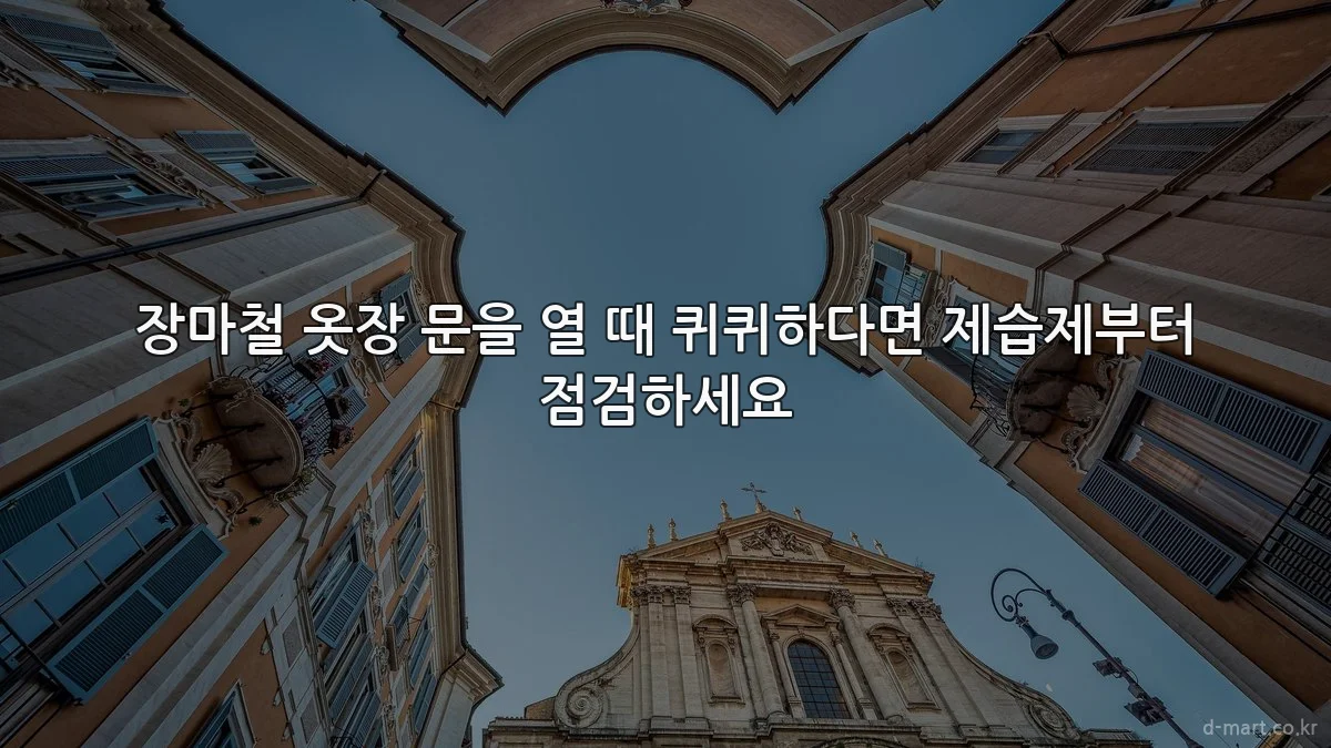 장마철 옷장 문을 열 때 퀴퀴하다면 제습제부터 점검하세요