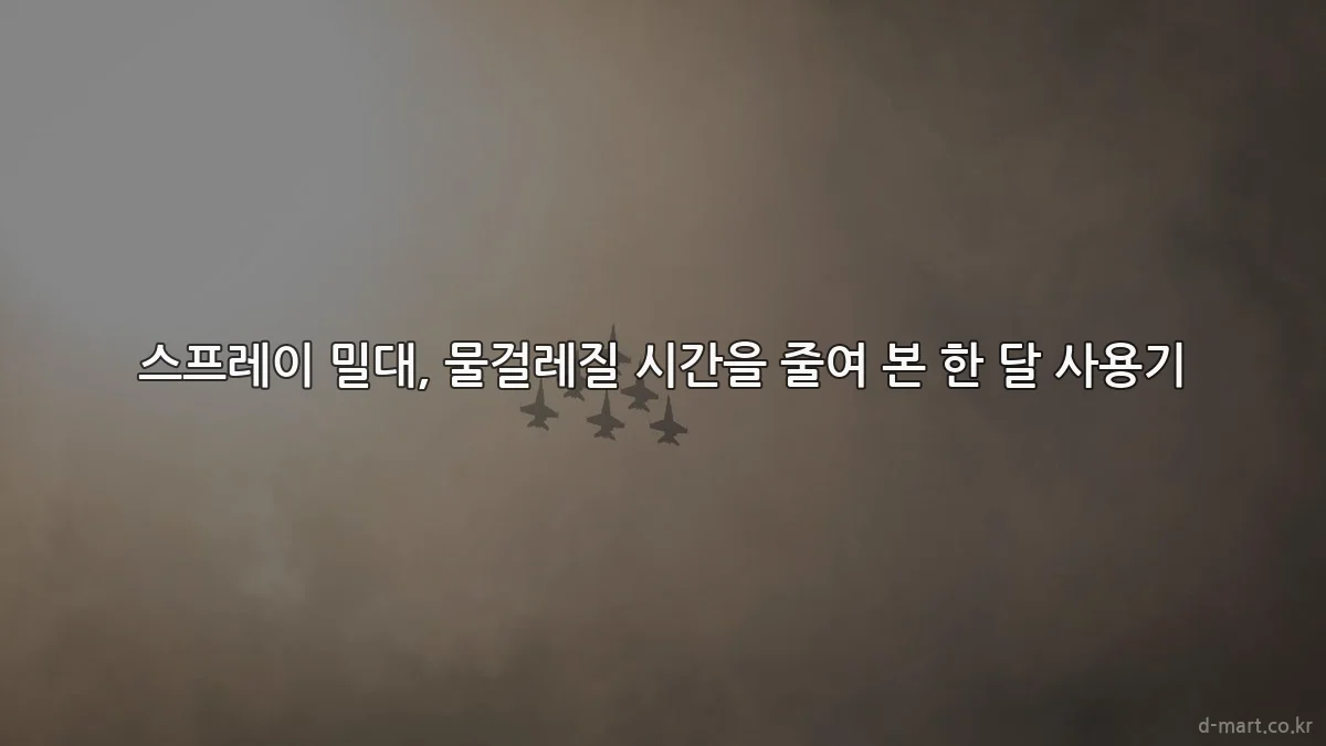 스프레이 밀대, 물걸레질 시간을 줄여 본 한 달 사용기