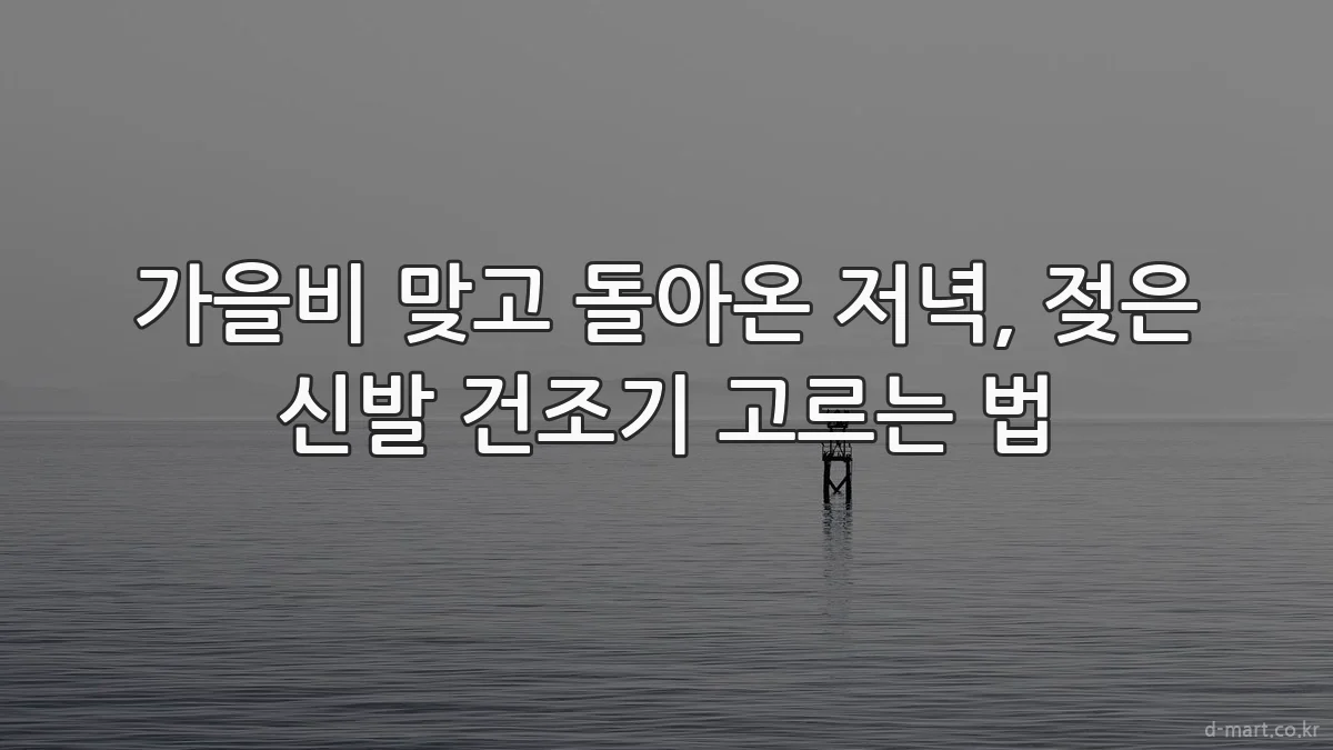 가을비 맞고 돌아온 저녁, 젖은 신발 건조기 고르는 법