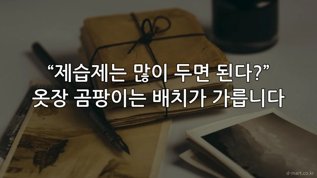 “제습제는 많이 두면 된다?” 옷장 곰팡이는 배치가 가릅니다