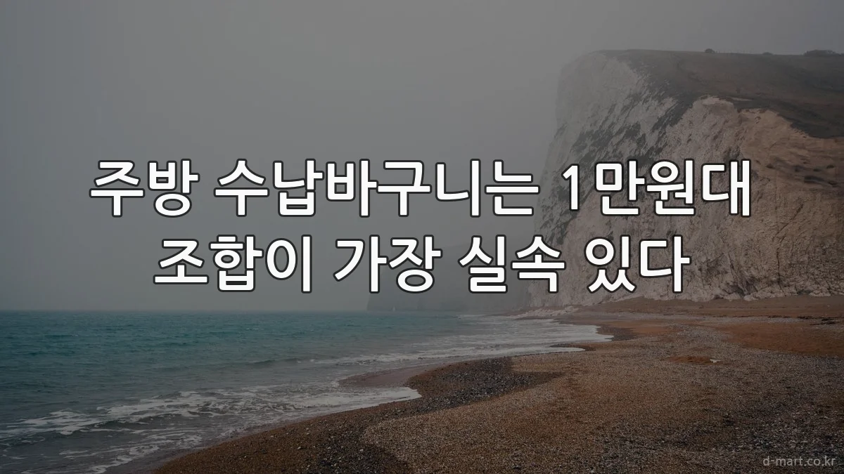 주방 수납바구니는 1만원대 조합이 가장 실속 있다