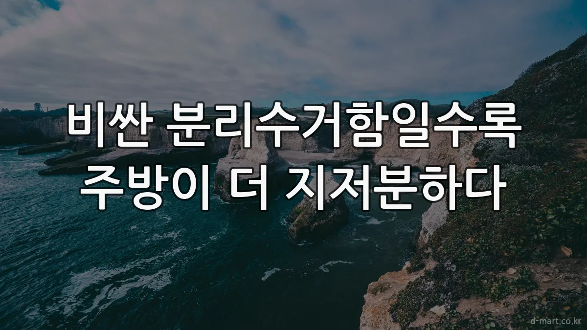 비싼 분리수거함일수록 주방이 더 지저분하다
