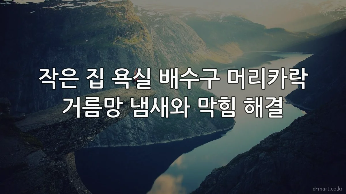 작은 집 욕실 배수구 머리카락 거름망 냄새와 막힘 해결
