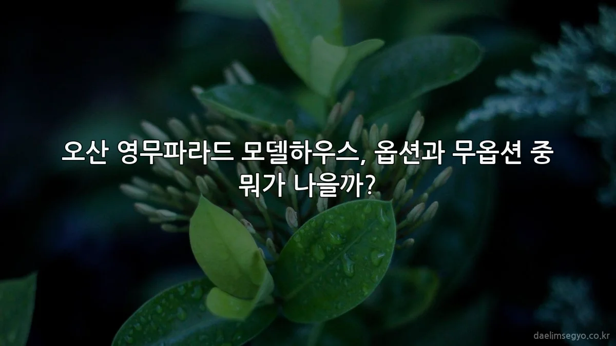 오산 영무파라드 모델하우스, 옵션과 무옵션 중 뭐가 나을까?