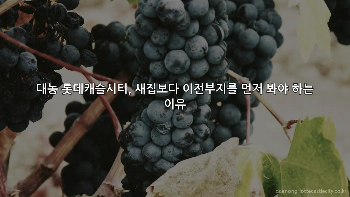 대농 롯데캐슬시티, 새집보다 이전부지를 먼저 봐야 하는 이유
