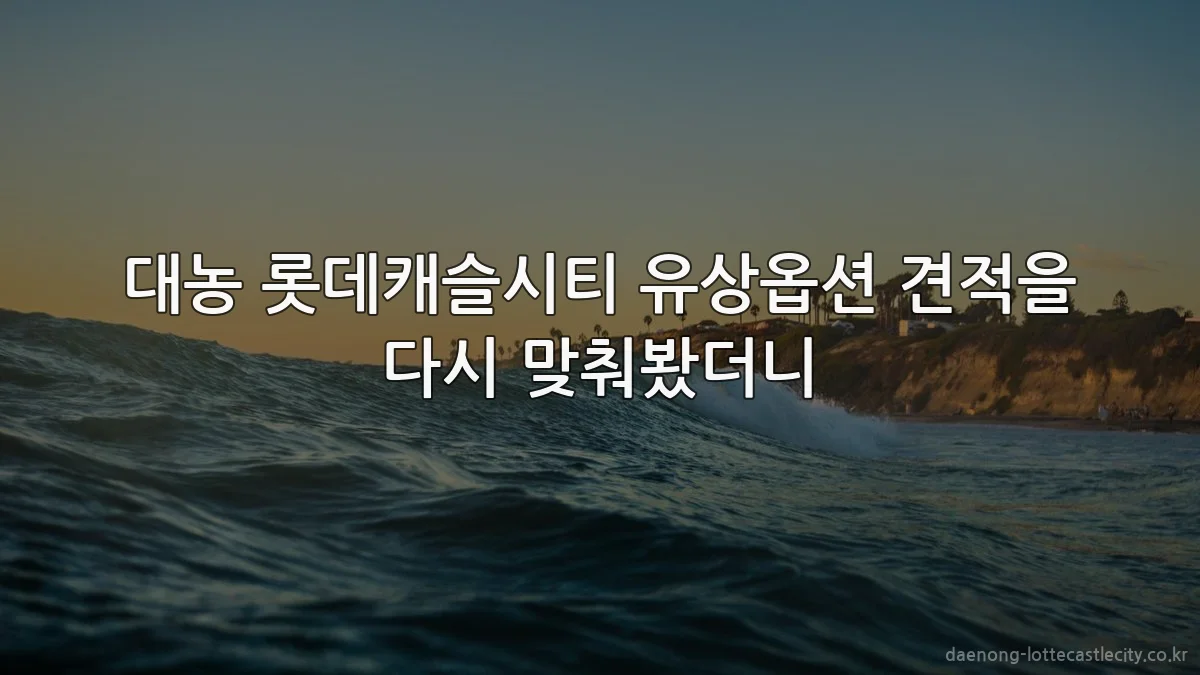대농 롯데캐슬시티 유상옵션 견적을 다시 맞춰봤더니