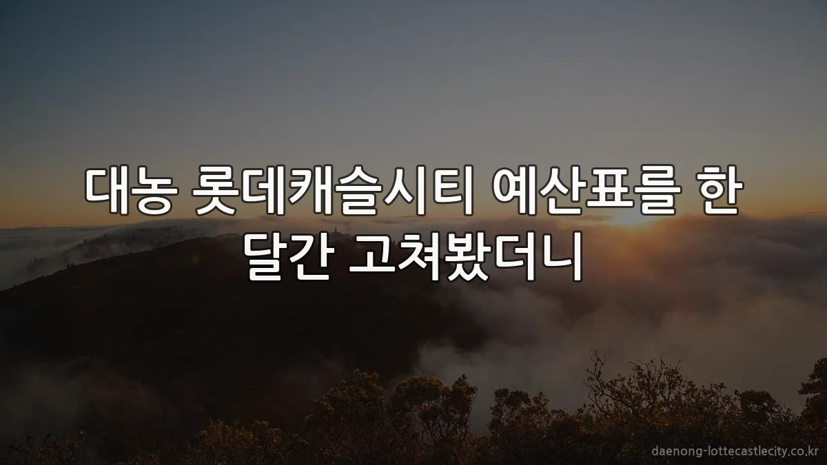 대농 롯데캐슬시티 예산표를 한 달간 고쳐봤더니
