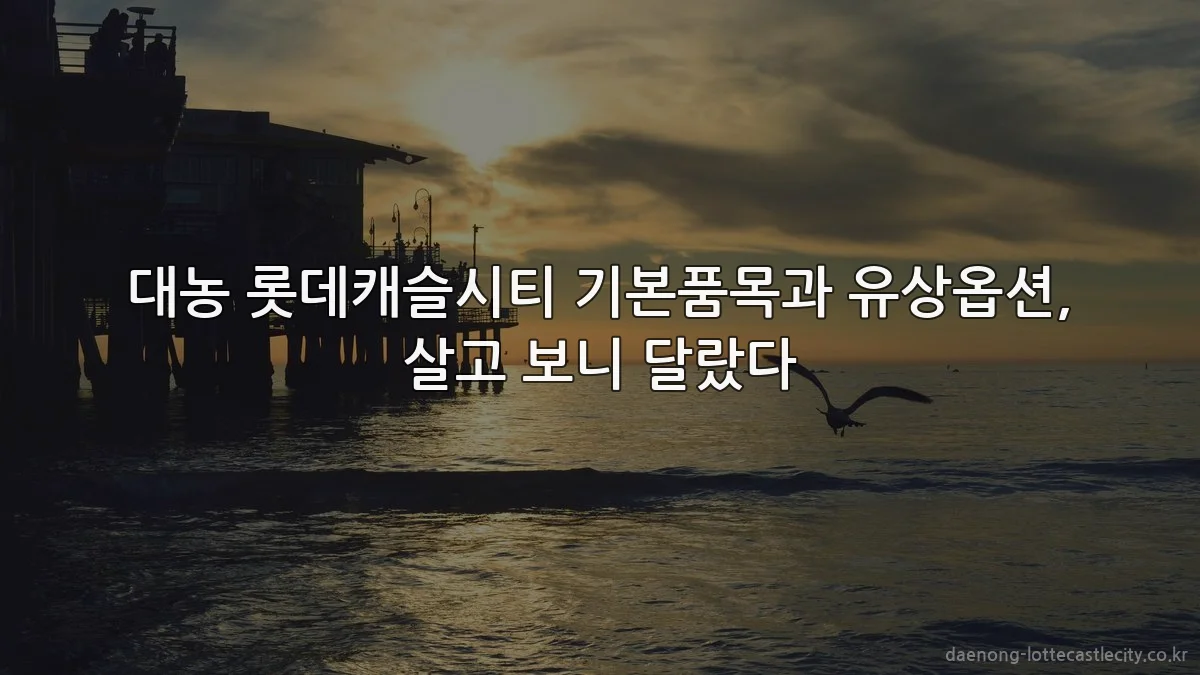 대농 롯데캐슬시티 기본품목과 유상옵션, 살고 보니 달랐다