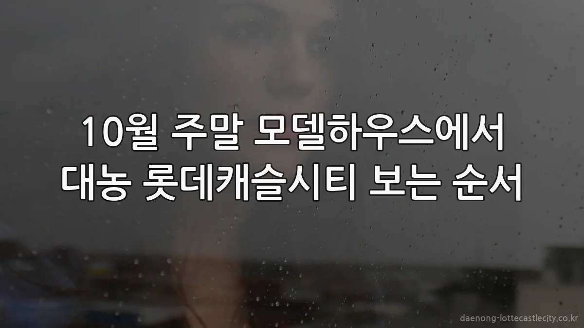 10월 주말 모델하우스에서 대농 롯데캐슬시티 보는 순서