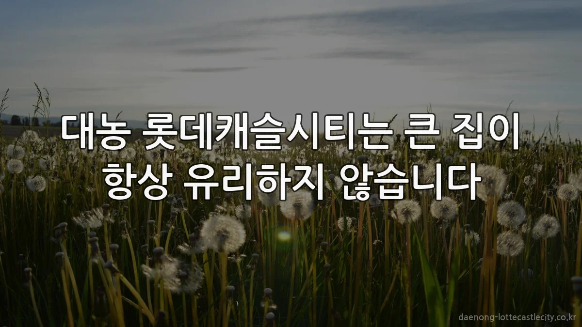 대농 롯데캐슬시티는 큰 집이 항상 유리하지 않습니다
