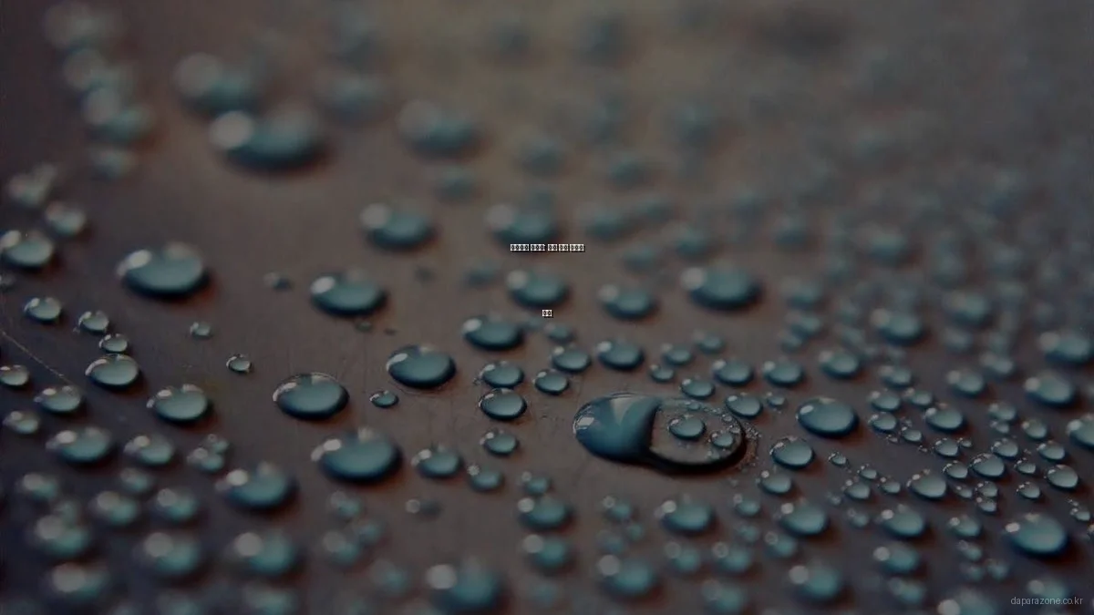 다파라존 활용기: 실전 쇼핑 후기와 꿀팁