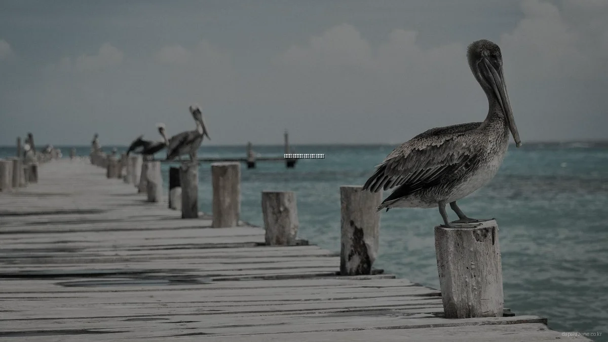 봄맞이 인테리어 소품 추천 리스트