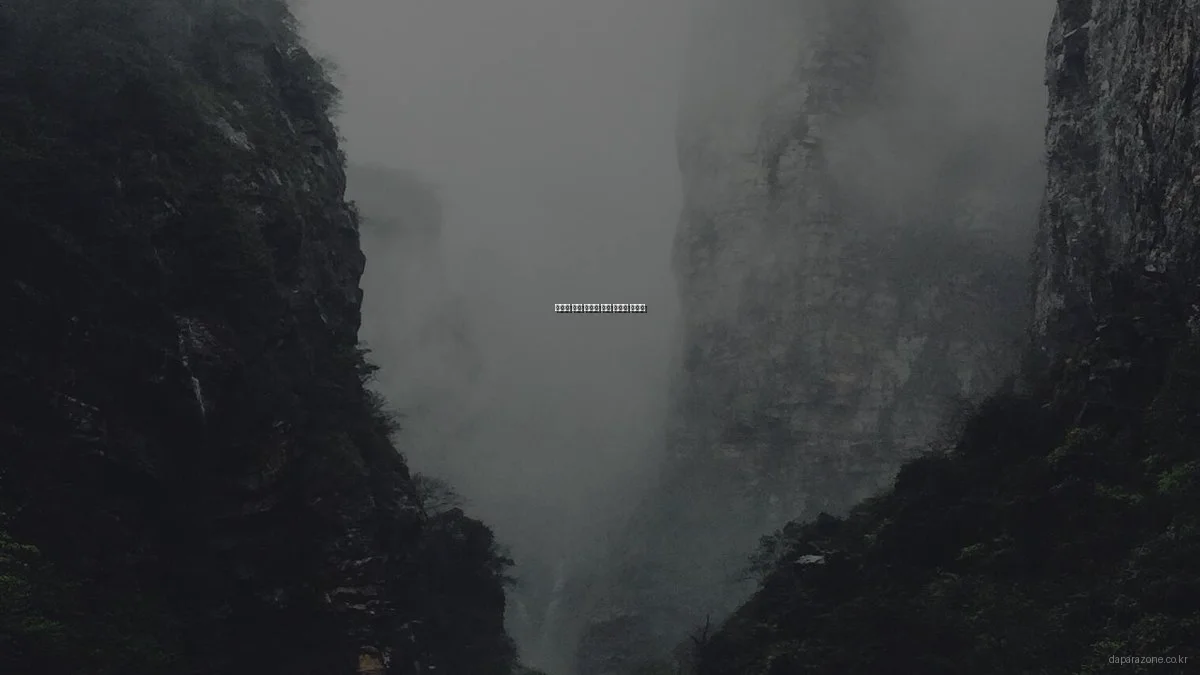 온라인 쇼핑 예산별 추천 아이템 가이드