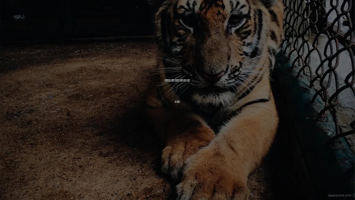 스마트홈 보안 시스템 실제 사용 후기 및 평점