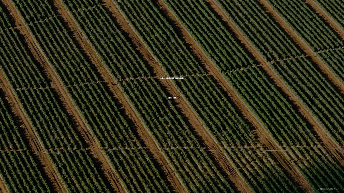 스마트홈 입문 가이드: 초보자를 위한 완벽한 시작