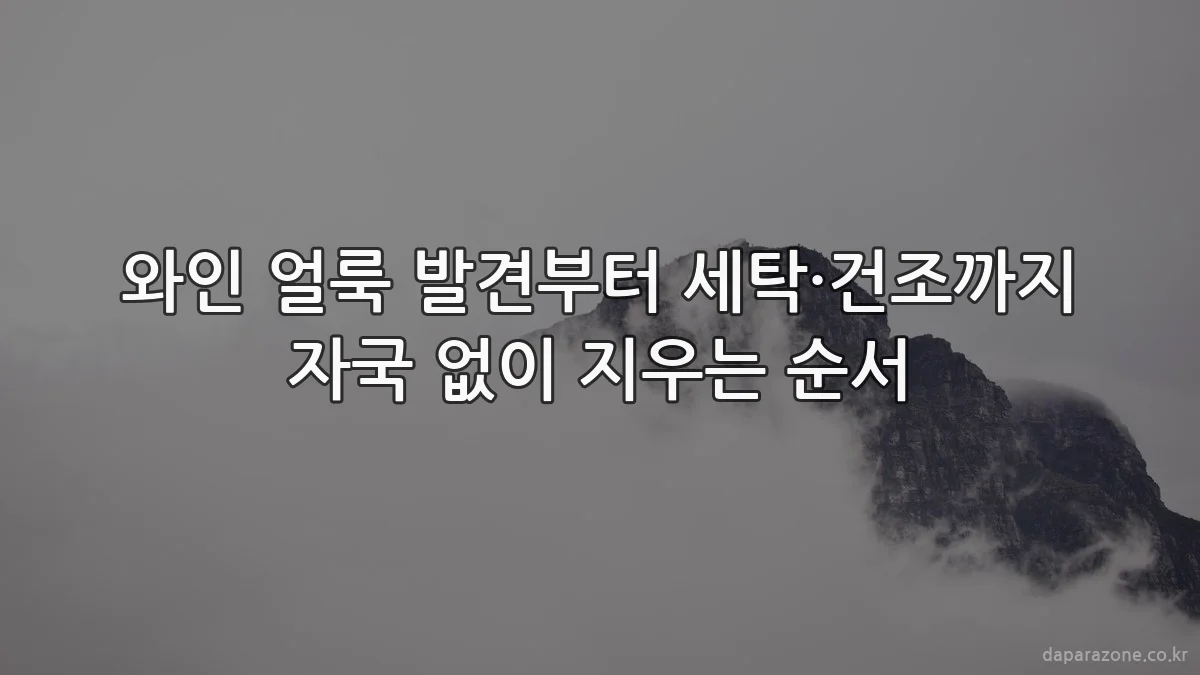와인 얼룩 발견부터 세탁·건조까지 자국 없이 지우는 순서