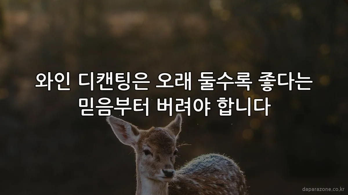 와인 디캔팅은 오래 둘수록 좋다는 믿음부터 버려야 합니다
