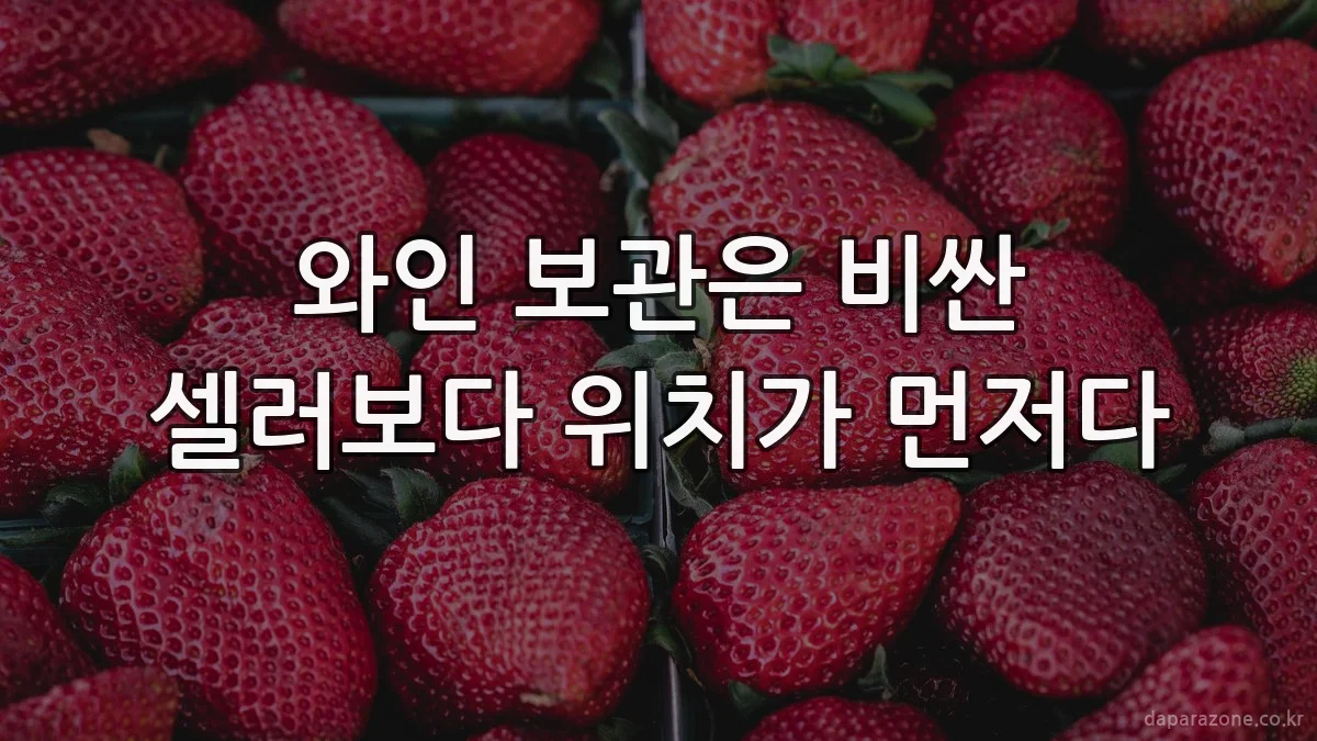 와인 보관은 비싼 셀러보다 위치가 먼저다
