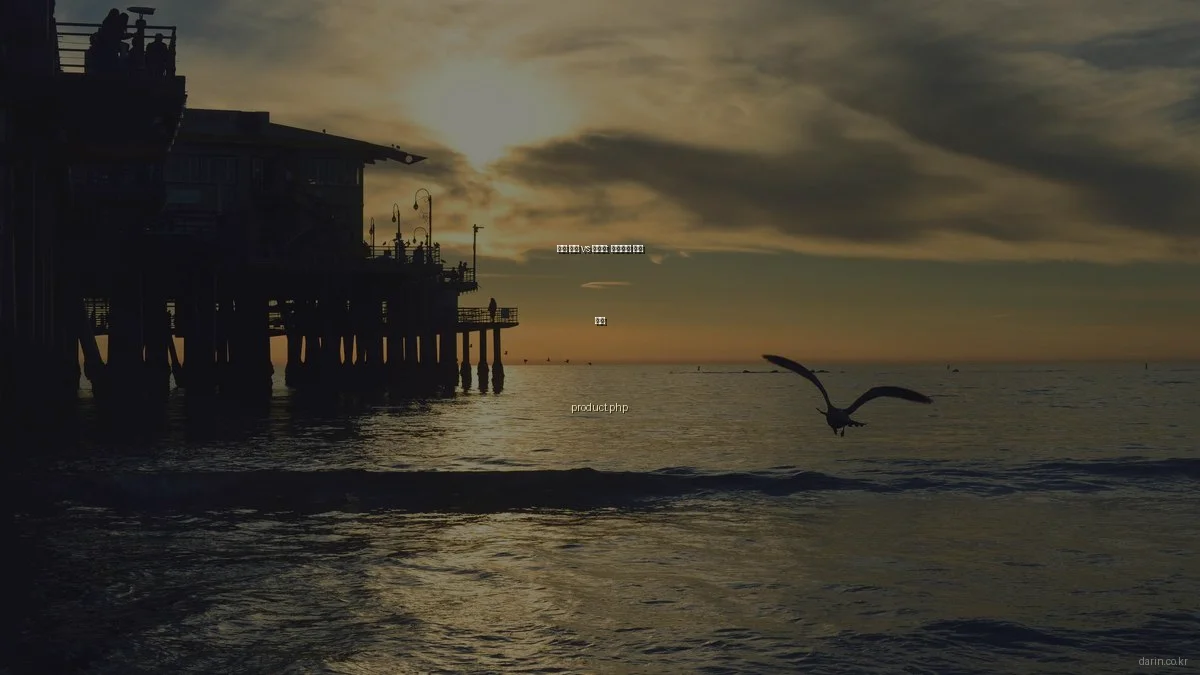 다린 제품 vs 서비스: 차별점과 가치 비교