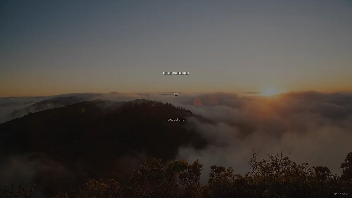 다린 서비스 vs 제품: 가치와 경험의 차이