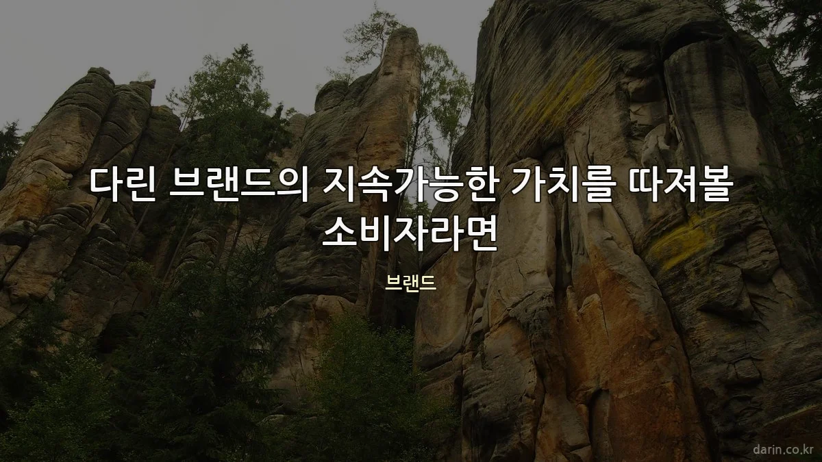 다린 브랜드의 지속가능한 가치를 따져볼 소비자라면