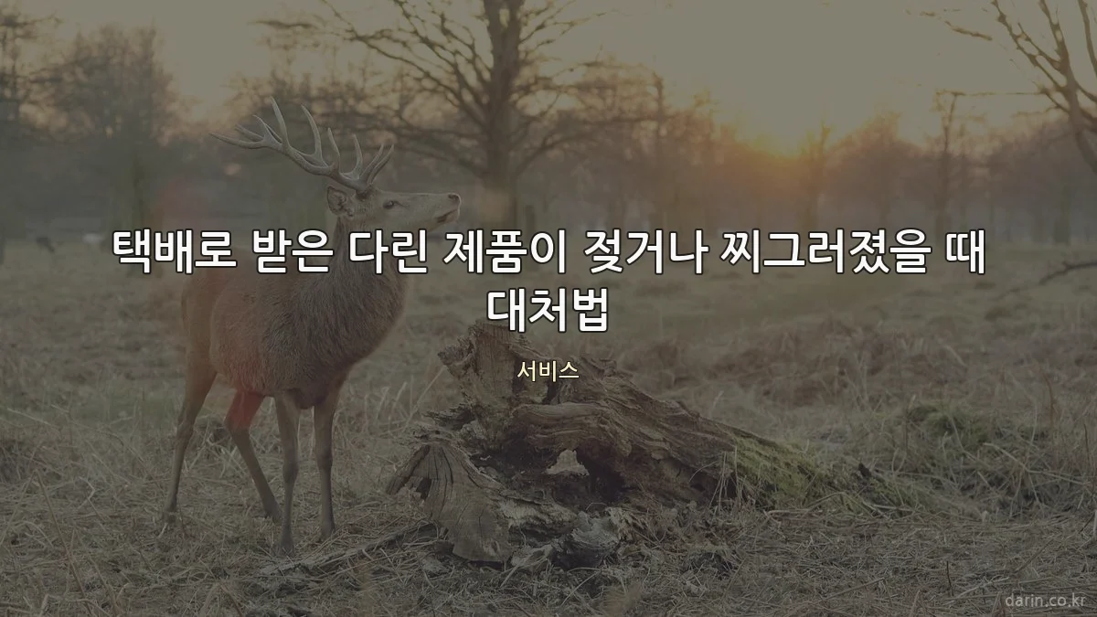 택배로 받은 다린 제품이 젖거나 찌그러졌을 때 대처법