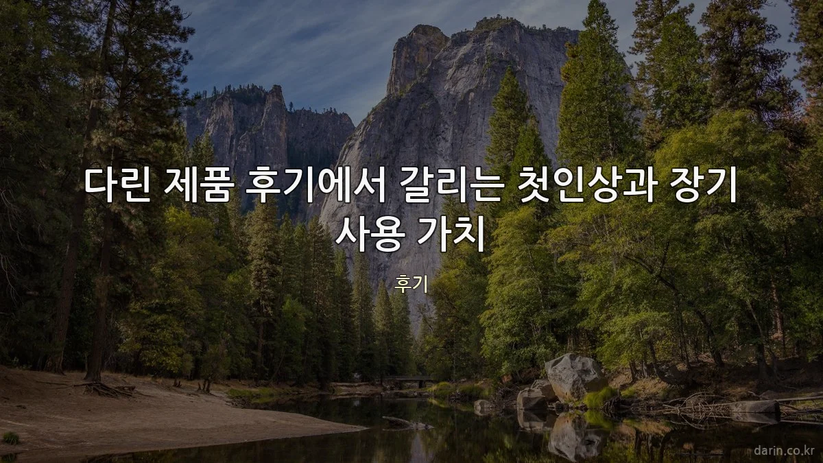 다린 제품 후기에서 갈리는 첫인상과 장기 사용 가치