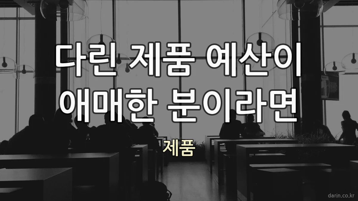 다린 제품 예산이 애매한 분이라면