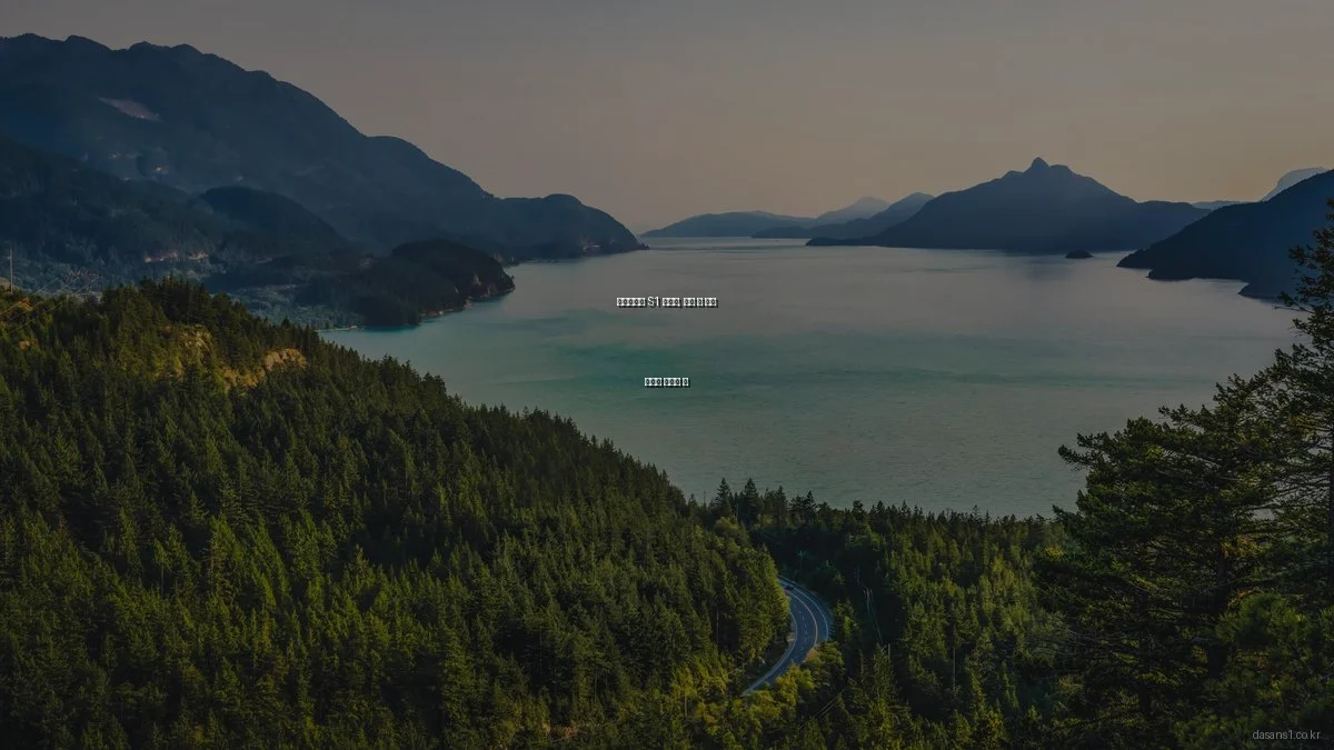 다산신도시 S1 아파트, 분양 시 흔한 실수와 피하는 법