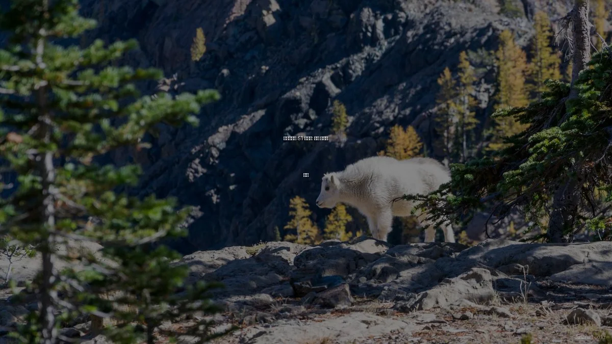 다산신도시 S1 아파트: 실패 사례와 교훈