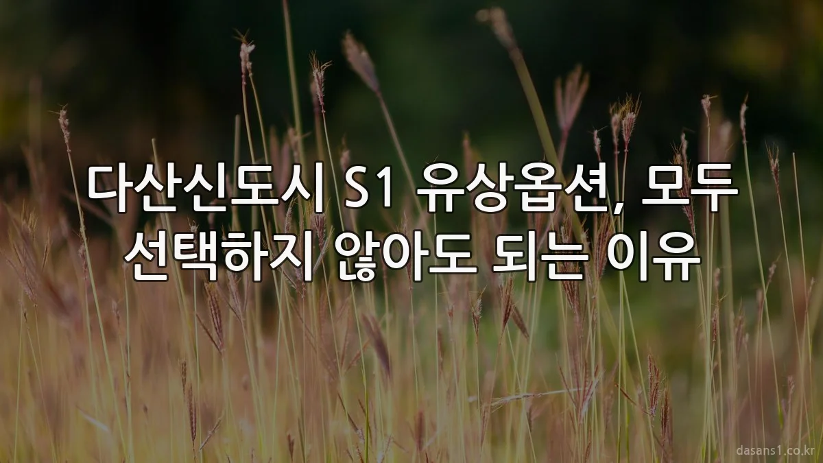 다산신도시 S1 유상옵션, 모두 선택하지 않아도 되는 이유
