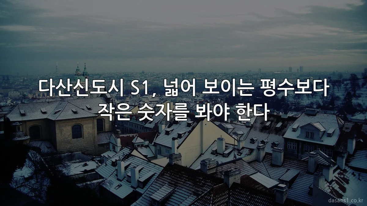 다산신도시 S1, 넓어 보이는 평수보다 작은 숫자를 봐야 한다