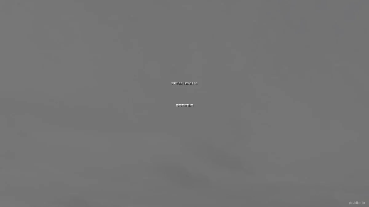 2026년 봄, David Lee 포트폴리오 트렌드 분석