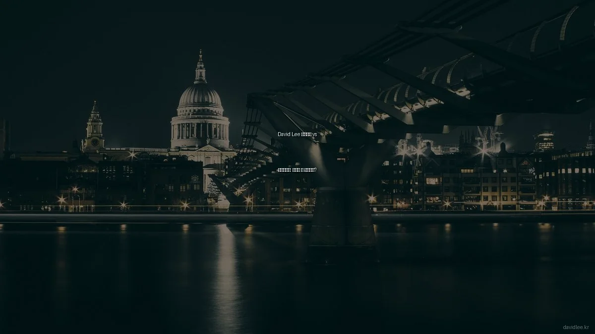 David Lee 프로젝트 vs 포트폴리오: 무엇이 더 중요한가?