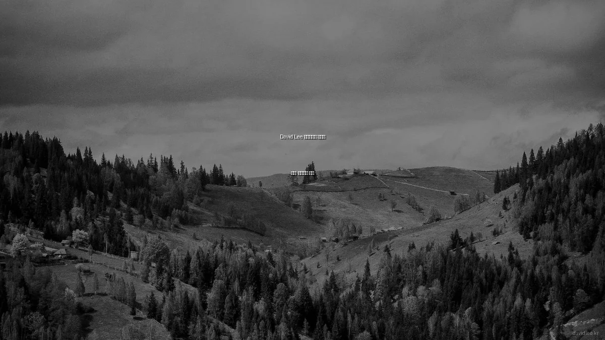 David Lee 포트폴리오 실사용 후기: 장단점과 꿀팁