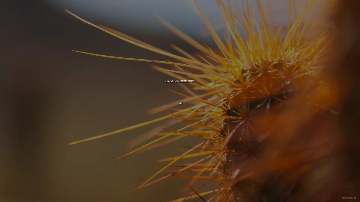 David Lee 포트폴리오 제작 기초 가이드