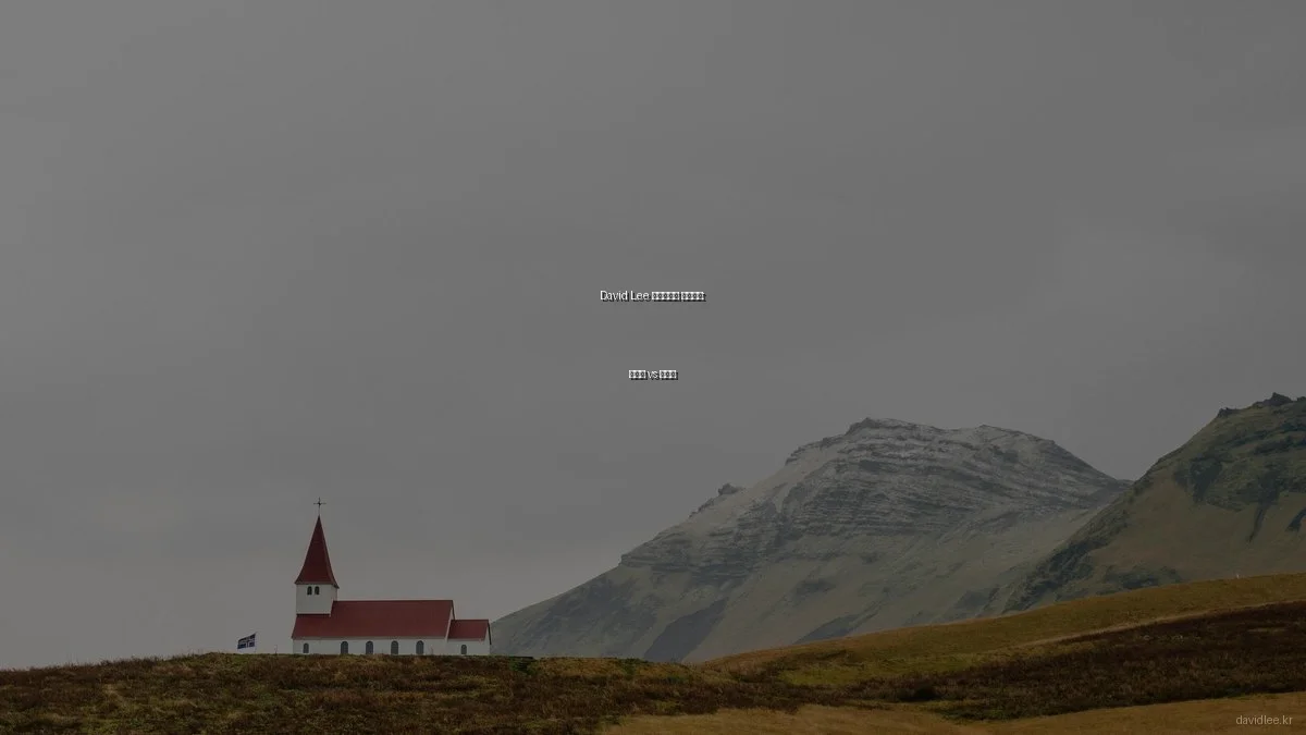 David Lee 포트폴리오 레이아웃: 갤러리 vs 리스트