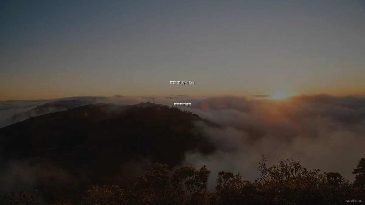 초보자를 위한 David Lee 포트폴리오 제작 가이드