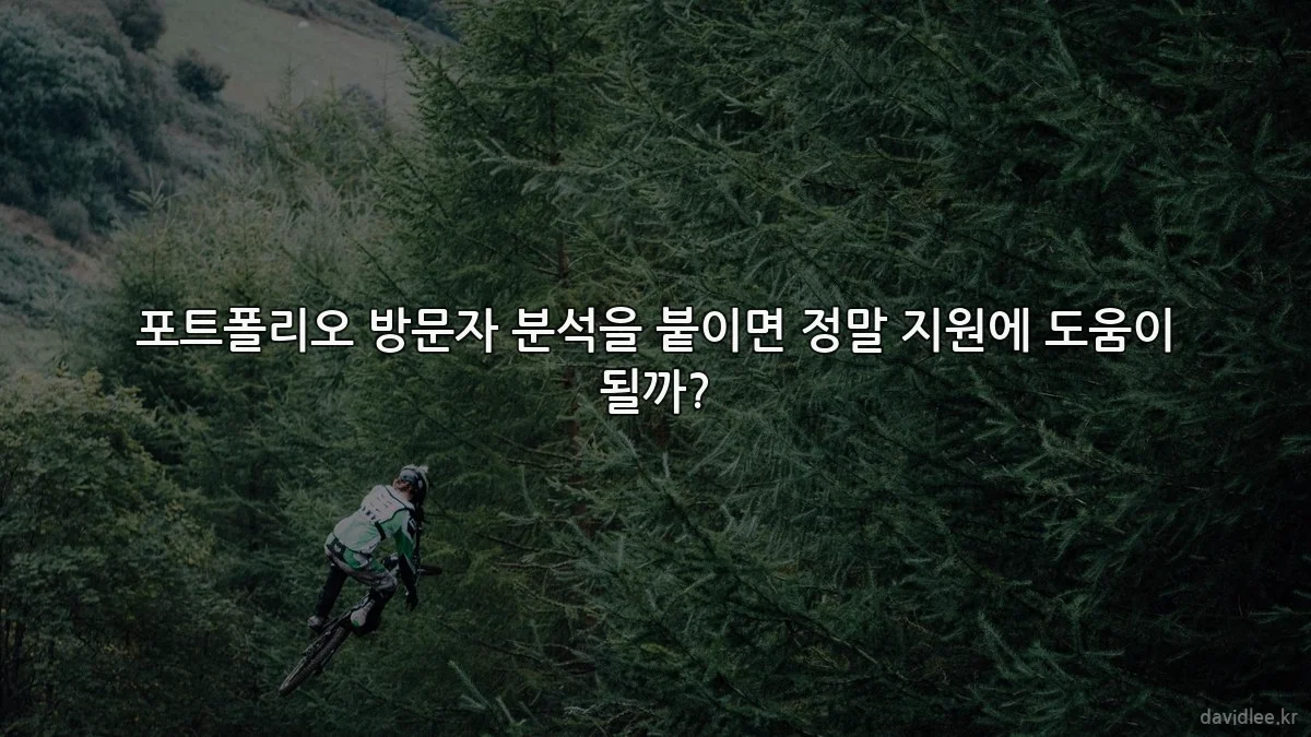 포트폴리오 방문자 분석을 붙이면 정말 지원에 도움이 될까?