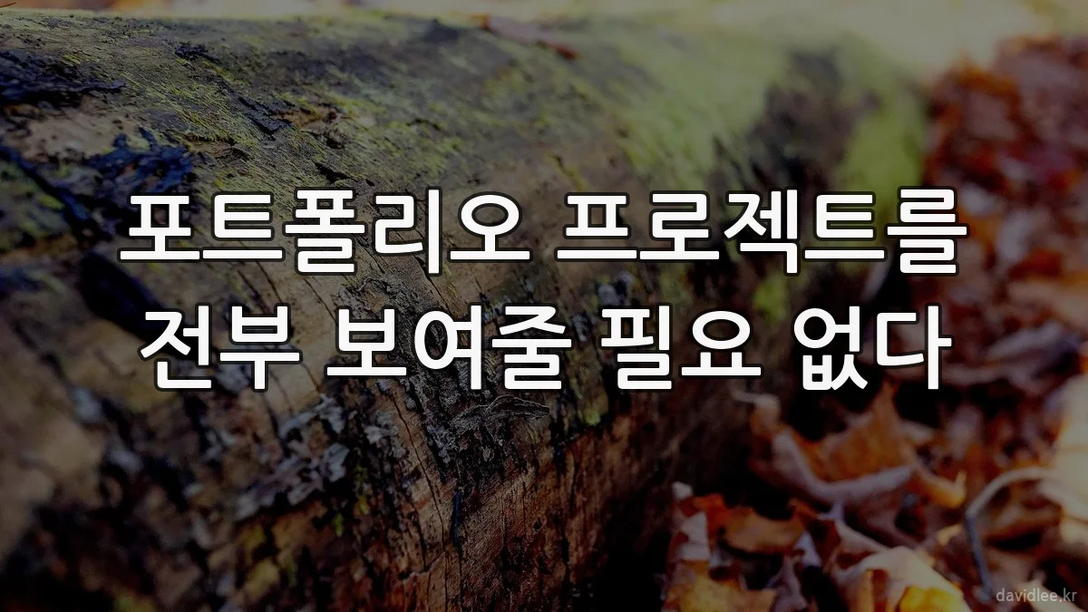 포트폴리오 프로젝트를 전부 보여줄 필요 없다