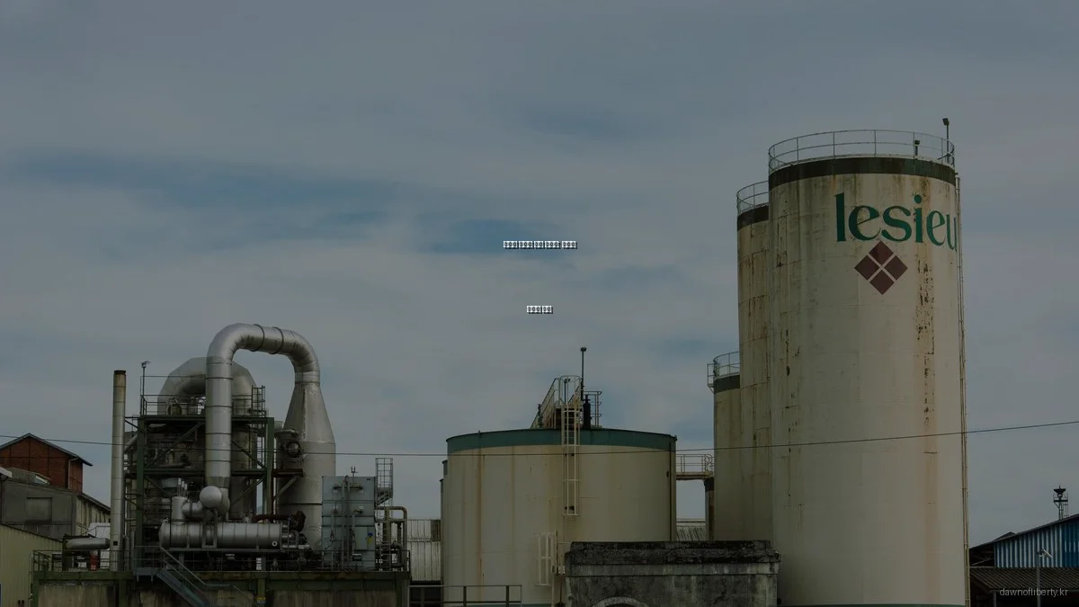 자유의 새벽당 후원 가이드: 예산별 전략과 혜택