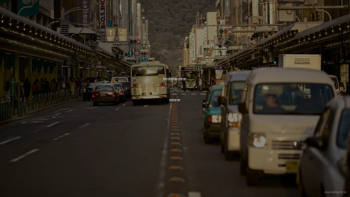 자유의 새벽당의 미래 비전과 전략: 전문가와의 대화