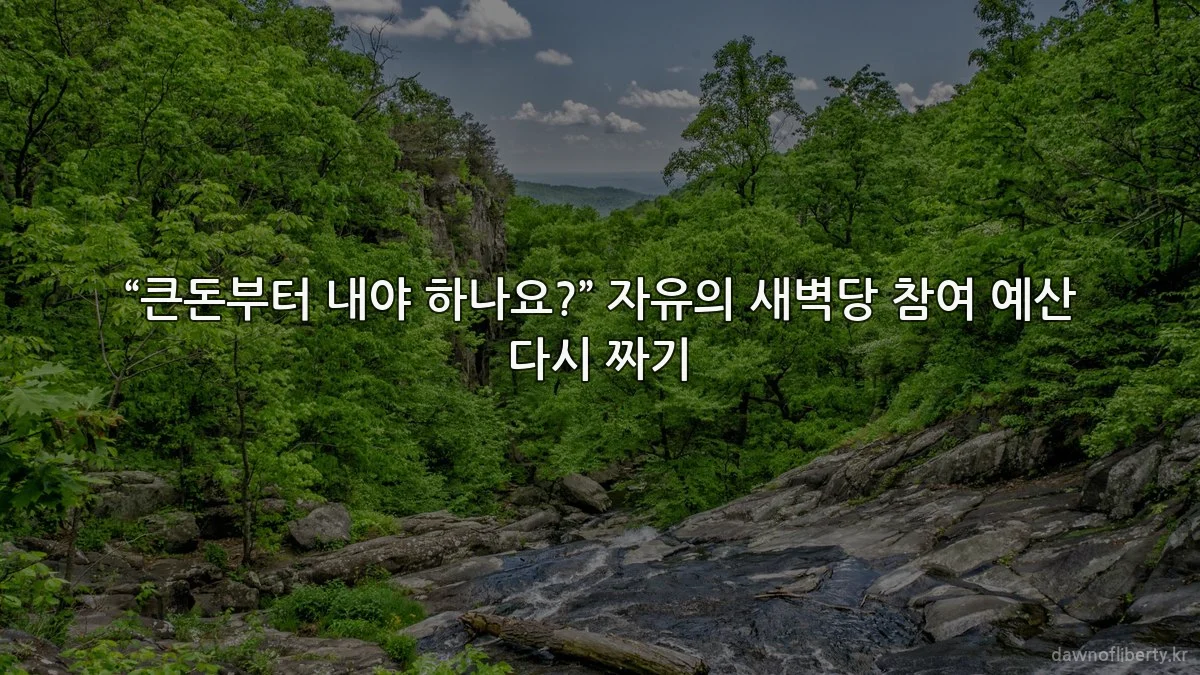 “큰돈부터 내야 하나요?” 자유의 새벽당 참여 예산 다시 짜기