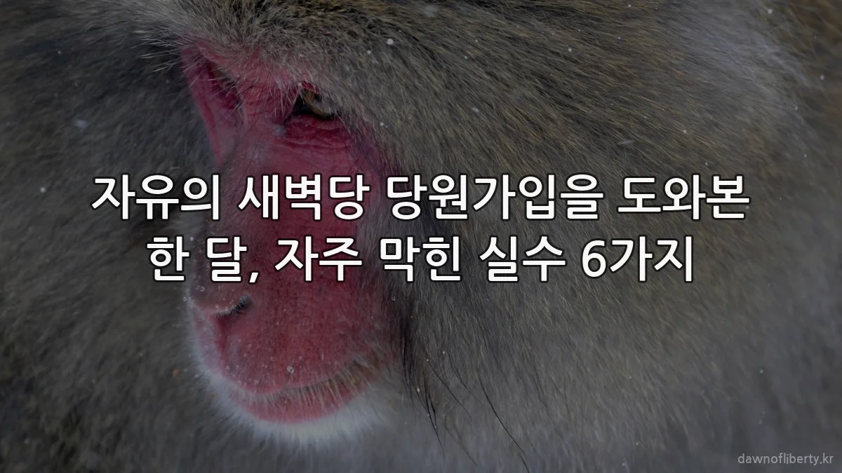 자유의 새벽당 당원가입을 도와본 한 달, 자주 막힌 실수 6가지