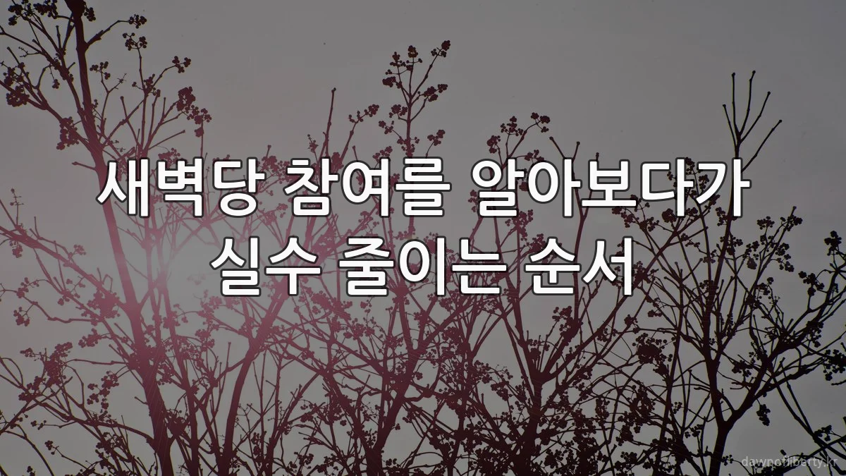 새벽당 참여를 알아보다가 실수 줄이는 순서