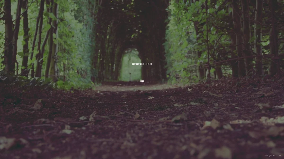 그래픽 디자인 툴 실제 사용 후기 및 활용법