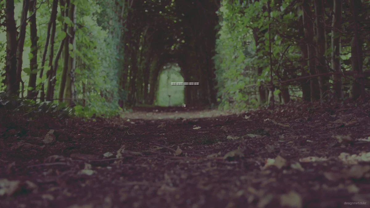 봄맞이 인테리어: 계절별 스타일 변화와 팁