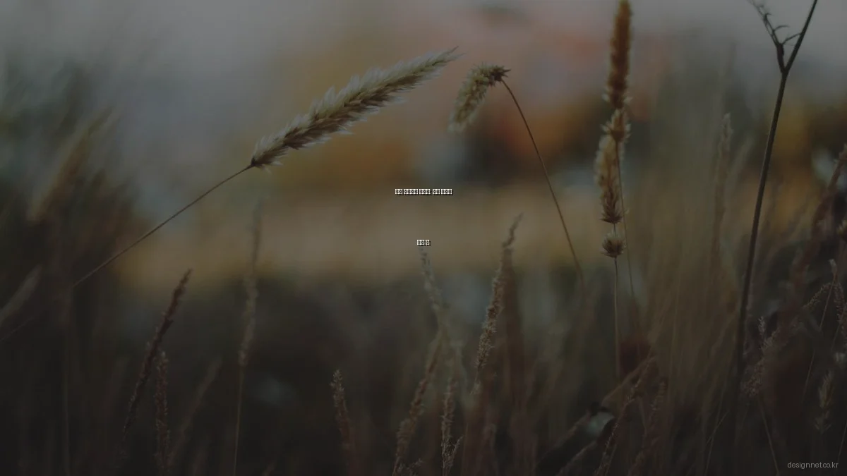 봄철 인테리어 디자인: 실내 분위기 전환 팁