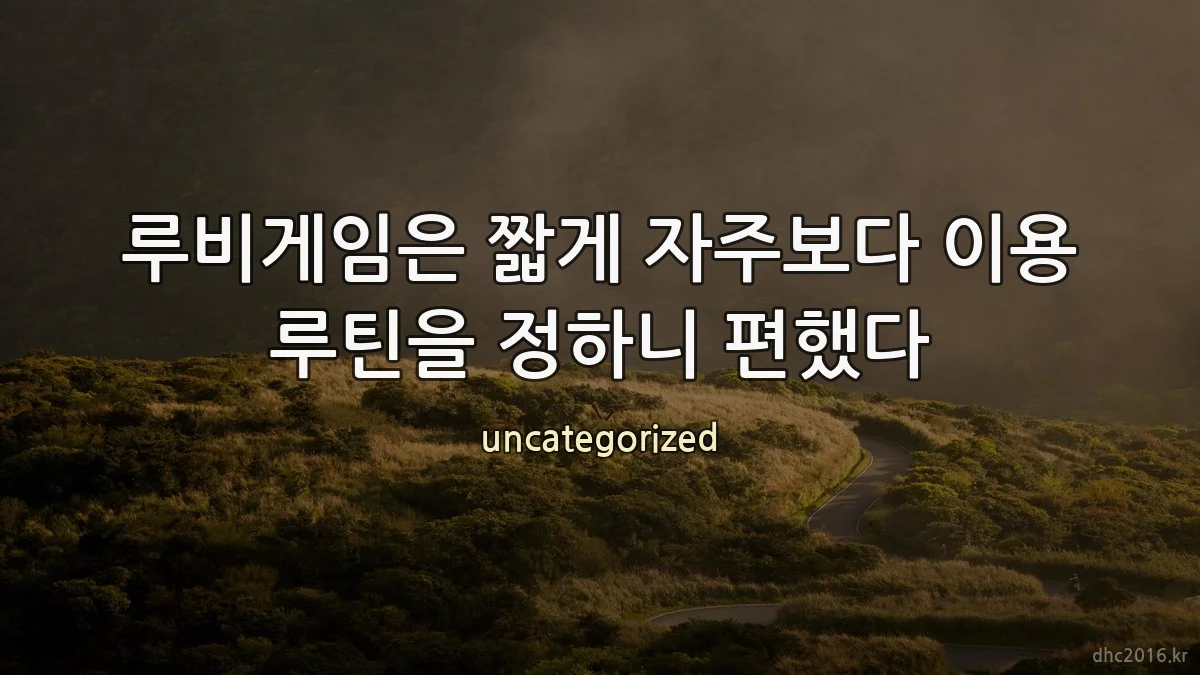 루비게임은 짧게 자주보다 이용 루틴을 정하니 편했다